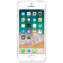 Apple iPhone SE, 64GB, Carrier Unlocked, 217 Units, C Grade, Plainfield, IN