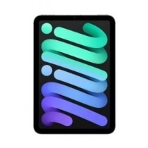 Apple iPad Mini 6 & iPad Mini 5 - 10 Units - B Condition - Dallas, TX