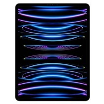 Apple iPad Pro 6 12.9 & iPad Pro 5 12.9 - 20 Units - B/C Condition - Dallas, TX