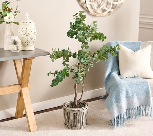 1 Pallet of Décor & More by Valerie Parr Hill, Temp-tations & More Ext. Retail $2,132, Florence, SC