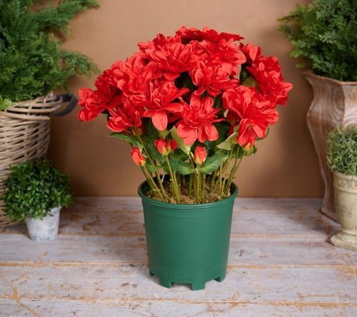 1 Pallet of Home Décor & More by Valerie Parr Hill & More Ext. Retail $2,337, Florence, SC