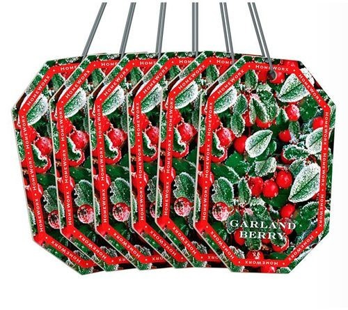 1 Pallet of Home & Holiday Décor & More by Valerie Parr Hill & More Ext. Retail $4,746, Florence, SC